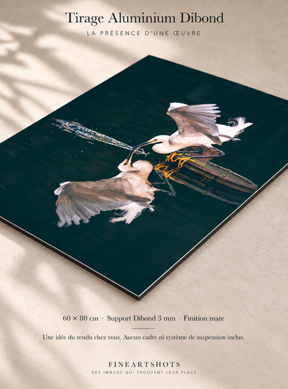 Présentation du tirage Aigrette sur Aluminium Dibond 60 × 80 cm, vu en biais, avec sa tranche de 3 mm et sa finition mate.