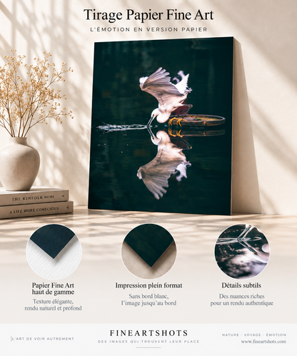 La révérence de l’aigrette — papier Fine Art sans bord blanc, avec trois détails explicatifs.