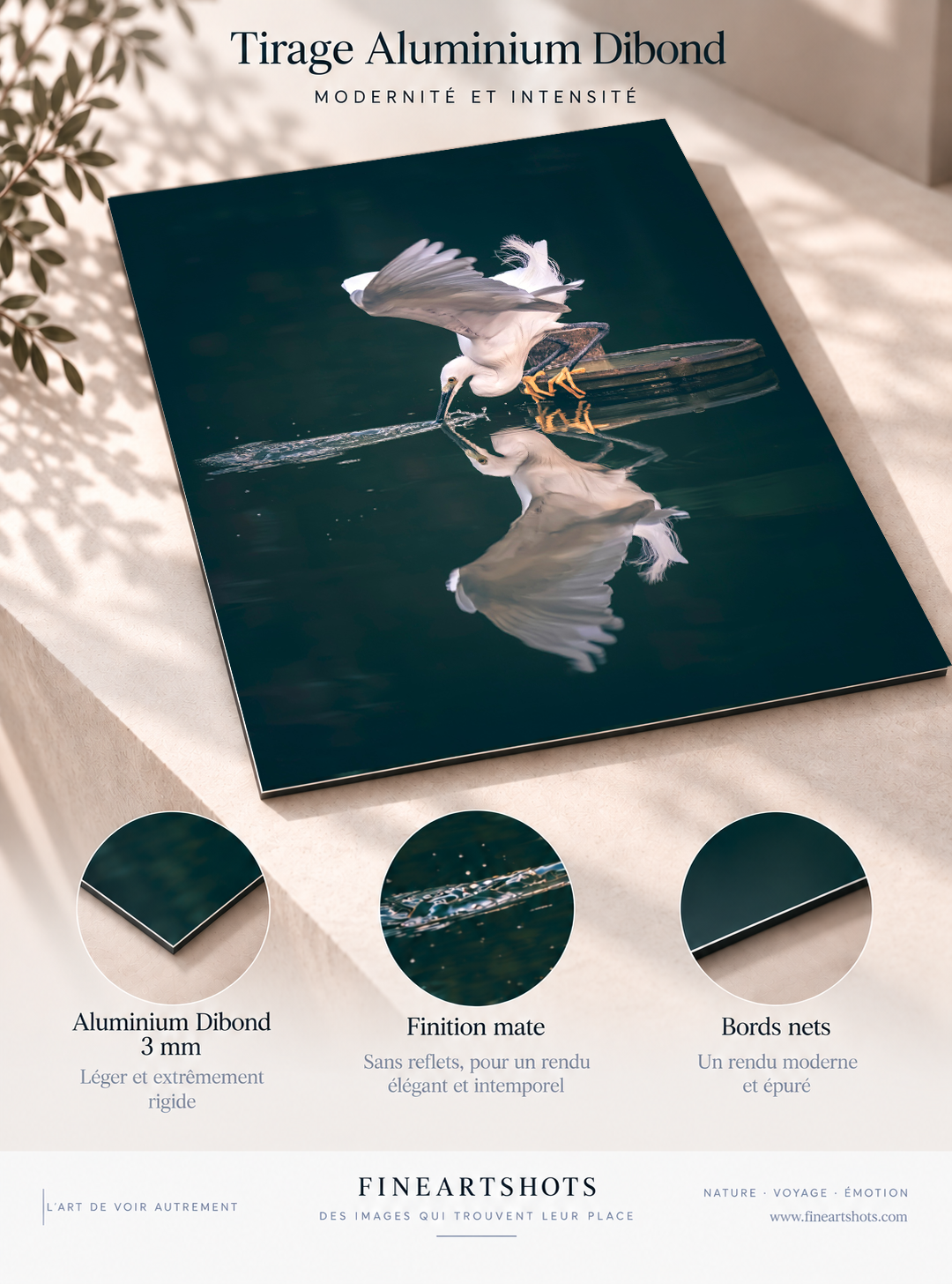 La révérence de l’aigrette — détail Aluminium Dibond, œuvre et reflet complet.