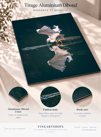 La révérence de l’aigrette — détail Aluminium Dibond, œuvre et reflet complet.