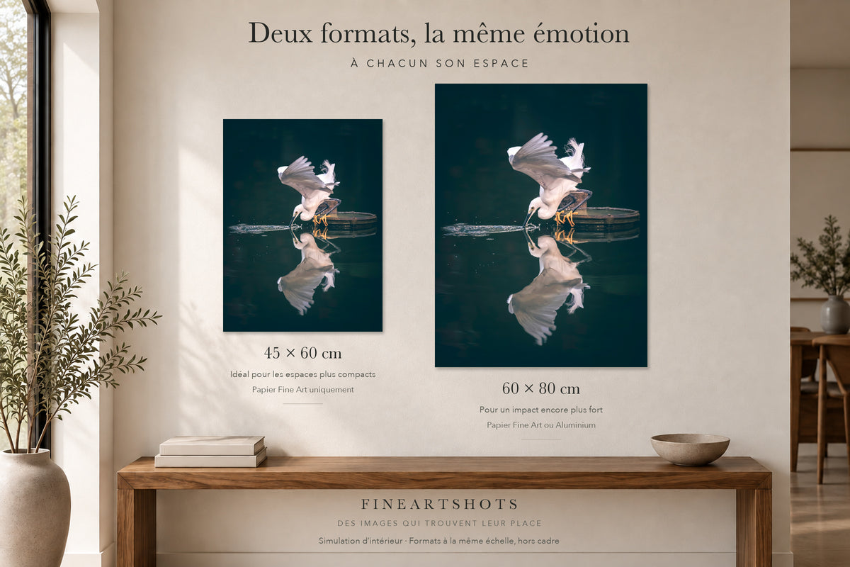 Comparaison des formats — 45 × 60 cm sur papier uniquement ; 60 × 80 cm sur papier ou Aluminium.
