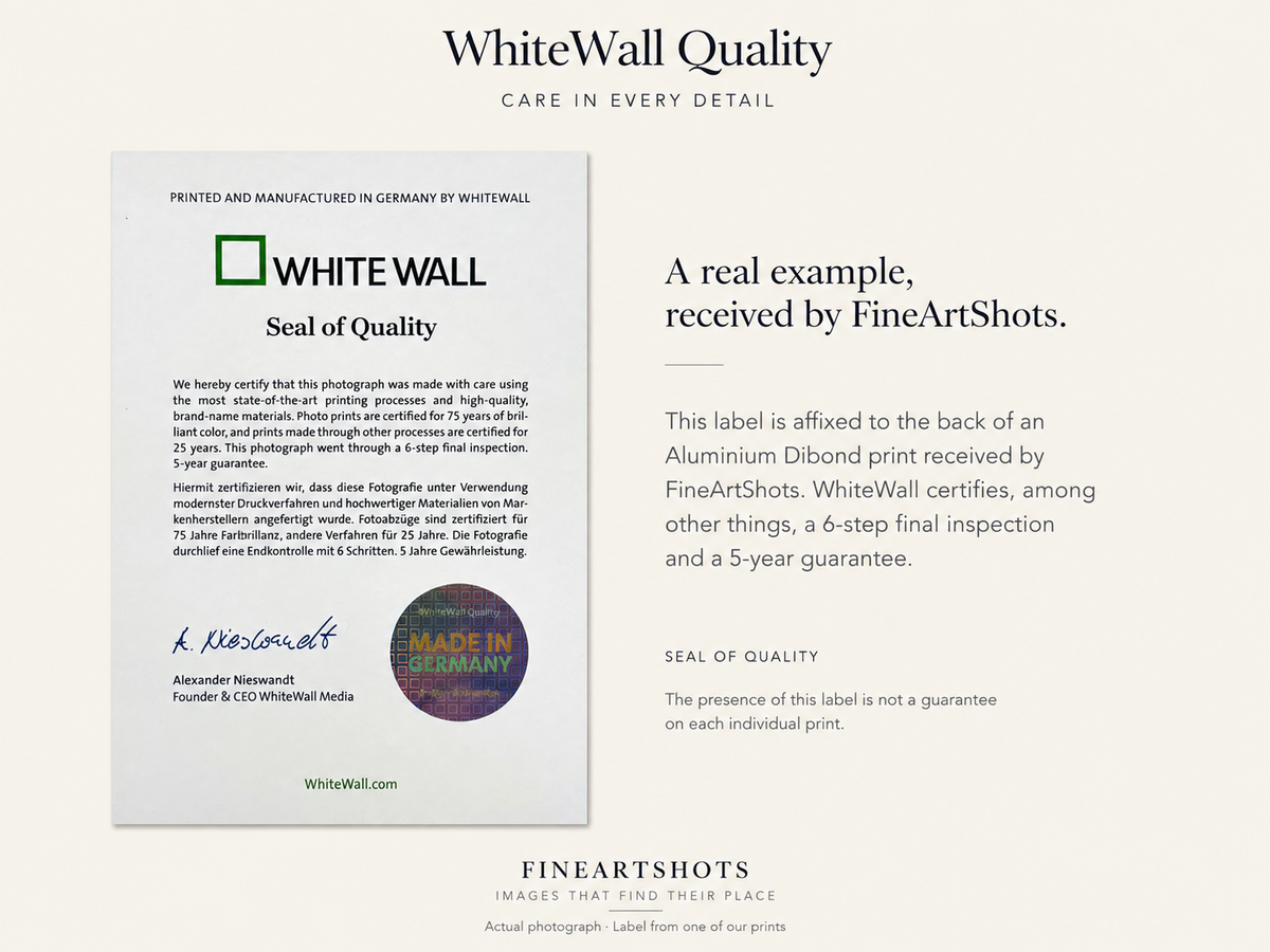 Real example of an Aluminium Dibond print produced by WhiteWall for FineArtShots.