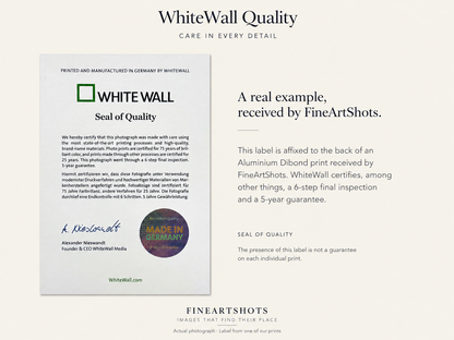 Real example of an Aluminium Dibond print produced by WhiteWall for FineArtShots.